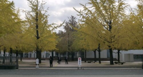 吉住の出身大学