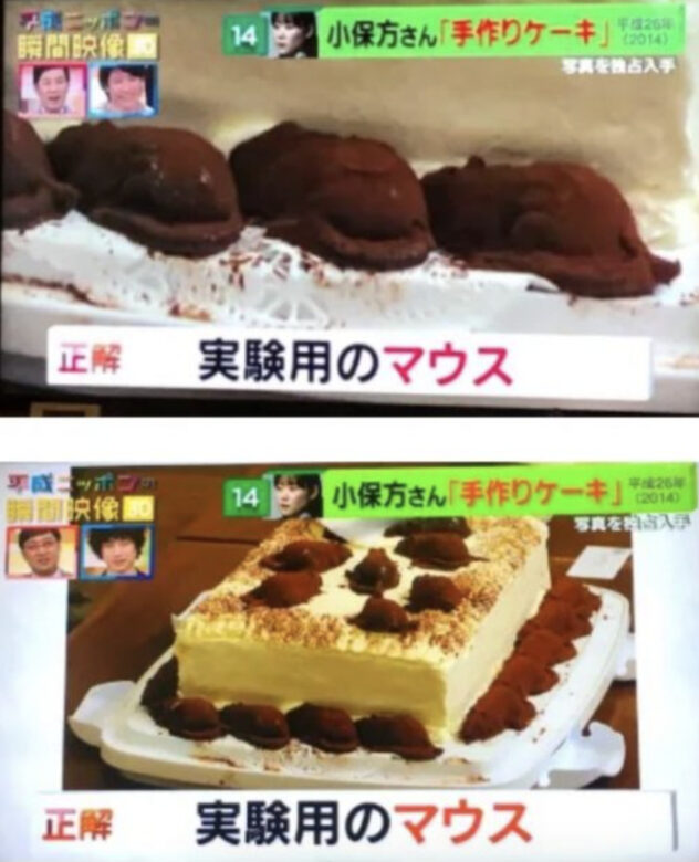小保方晴子の作成したケーキ画像