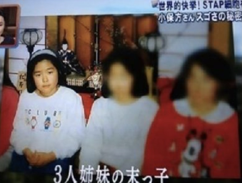 小保方晴子の家族姉妹の顔画像